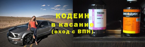 бошки Бородино