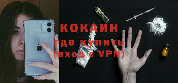 бошки Бородино