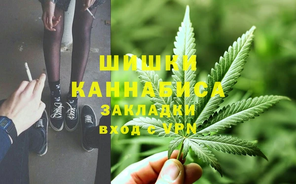 бошки Бородино