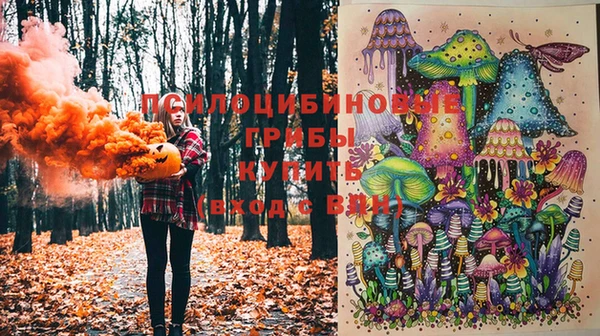 а пвп мука Бугульма