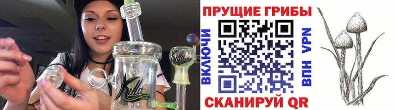 площадка формула Ростов Галлюциногенные грибы ЛСД